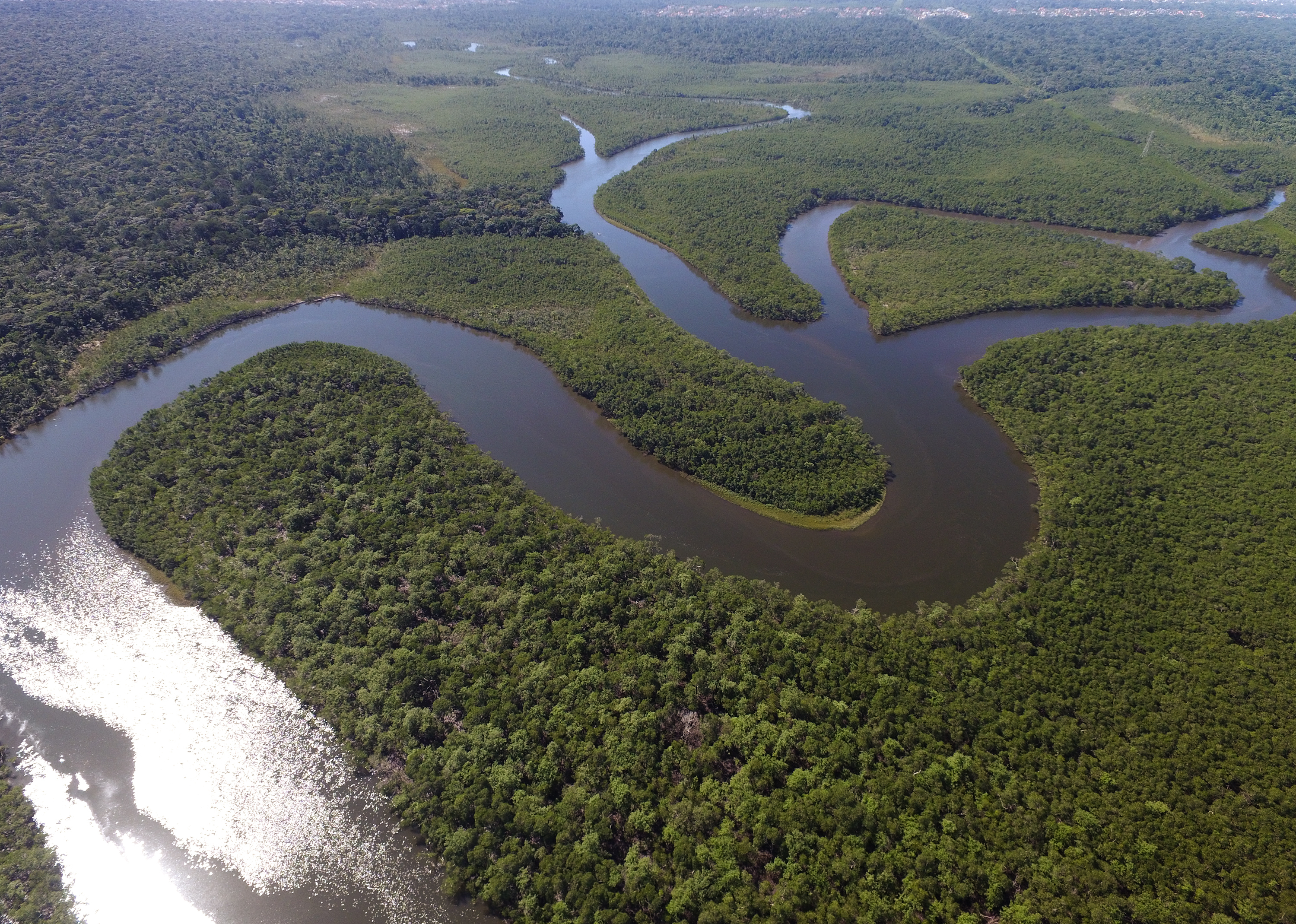 Амазонка полноводна круглый год. Река Амазонка в Бразилии. Южная Америка река Амазонка. Устье реки Амазонка. Амазонская низменность.