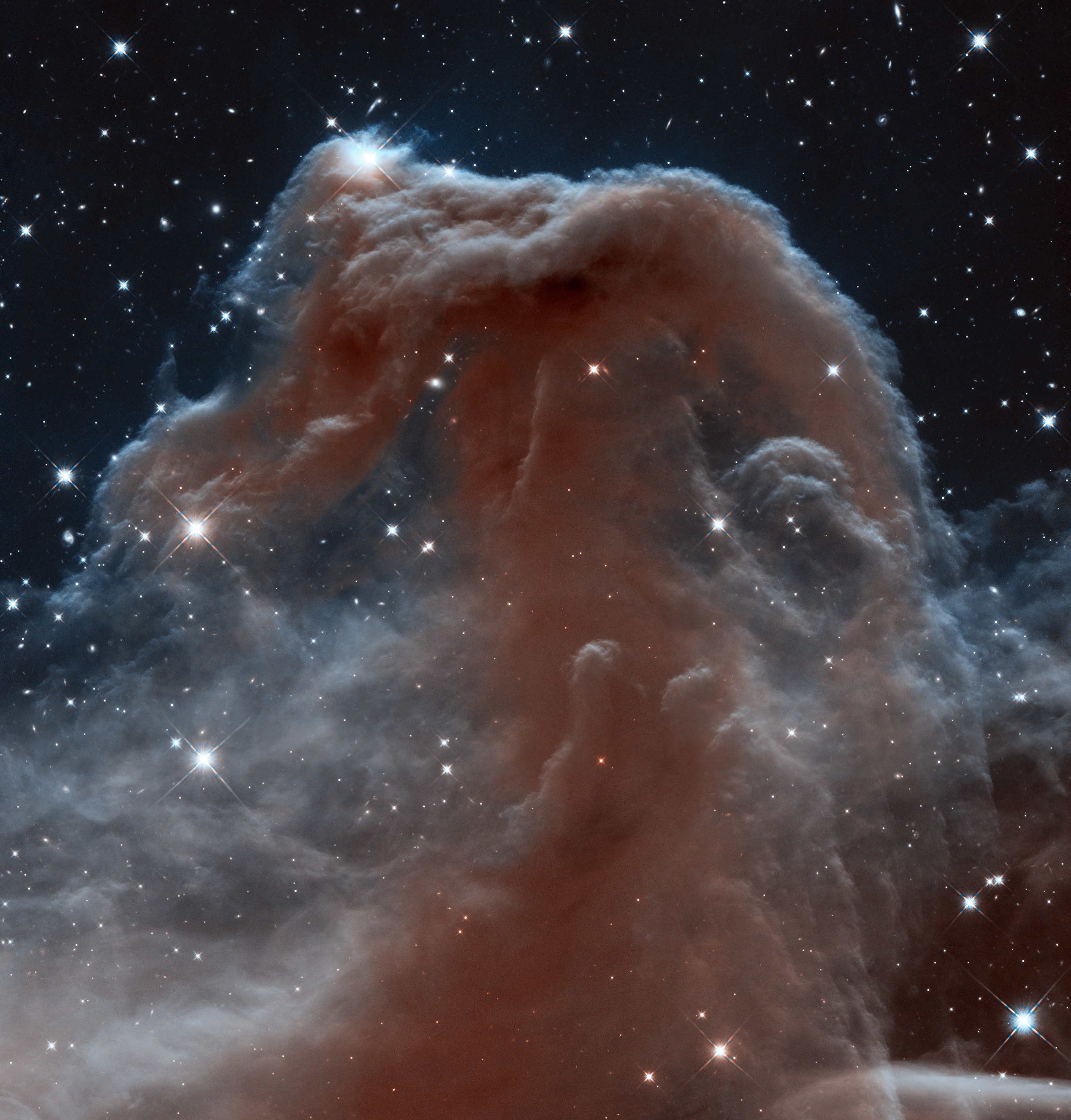 Рождение 23 июня. Туманность конская голова Хаббл. Туманность конская голова в созвездии Ориона. Конская голова в созвездии Ориона.