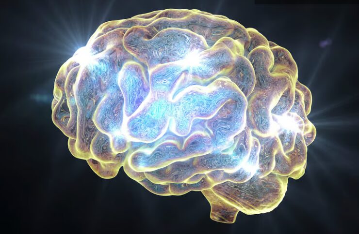 Спокойно реагируют на отказ. Сканирование мозга выявило уникальные особенности скромных людей