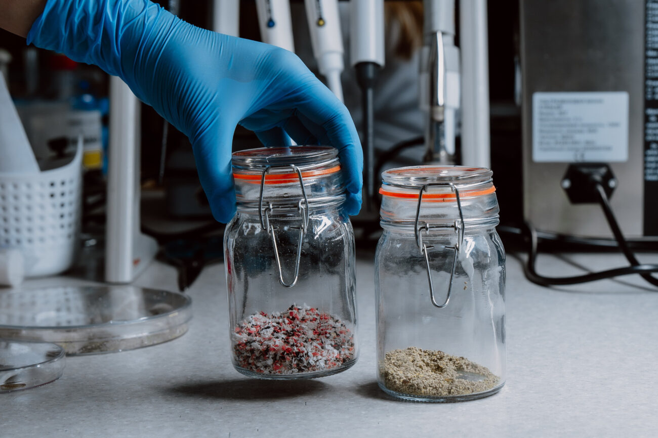 При помощи насекомых. Эффективно утилизировать пластик поможет стартап новосибирской студентки