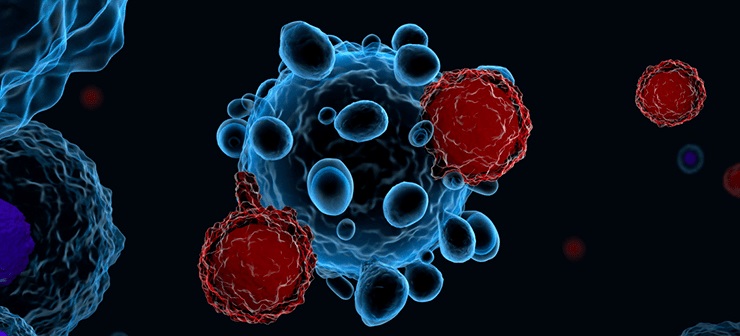 Перспективная технология. Разработан метод оценки побочных эффектов CAR-терапии онкологических заболеваний