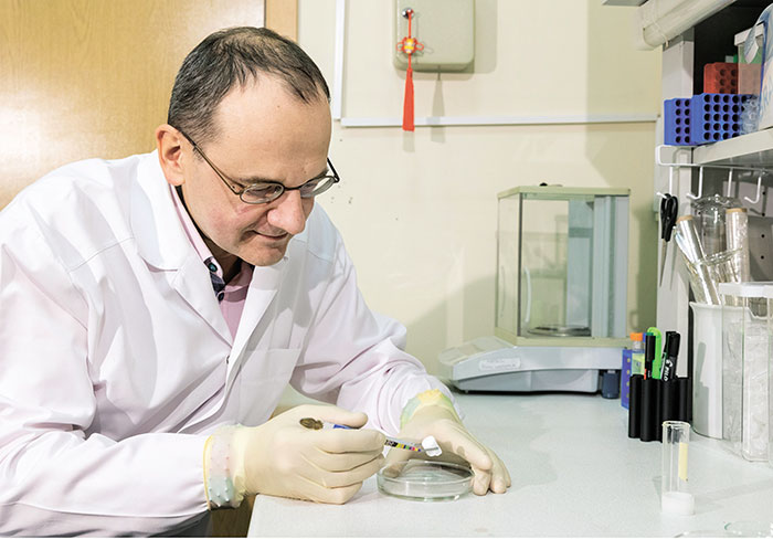 Кость на ремонте