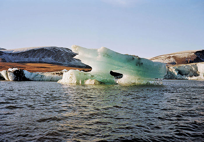 В фокусе — будущее