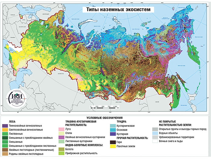 Приглядывая за планетой