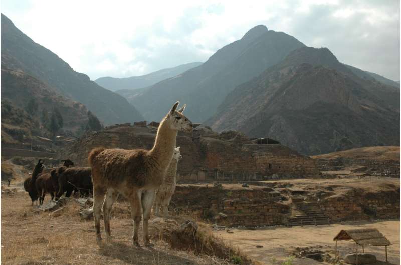 Трубки подсказали. Ученые выяснили, с помощью чего правители древнего общества поддерживали свой авторитет