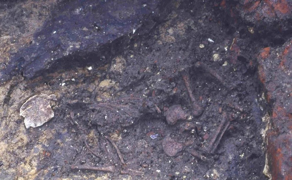 Материнство в Средние века. Захоронение младенца рассказало ученым о нравах в домах терпимости