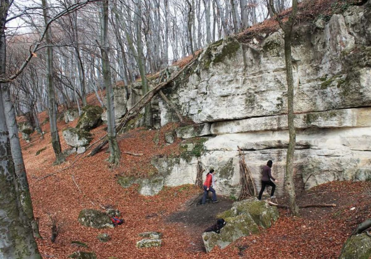 Молотки и кирки. Неожиданная находка: обнаружены уникальные инструменты возрастом почти 2 тысячи лет