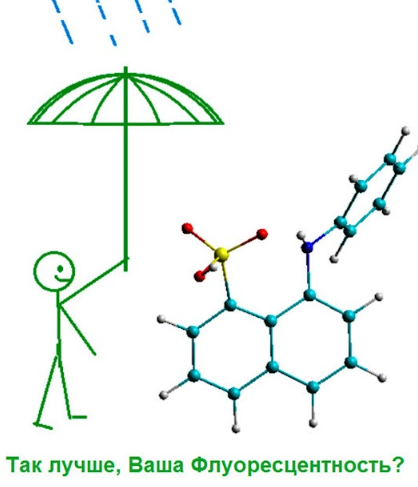 Открытие изменило базовые представления. Флуоресцентный зонд защитят от воды «молекулярные зонтики»