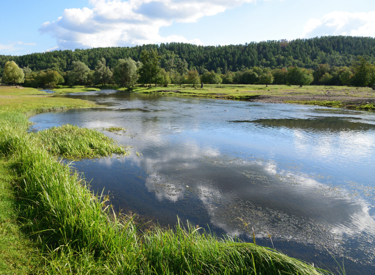 Пескари из бассейна Урала. На границе Европы и Азии обнаружен новый для науки вид рыб