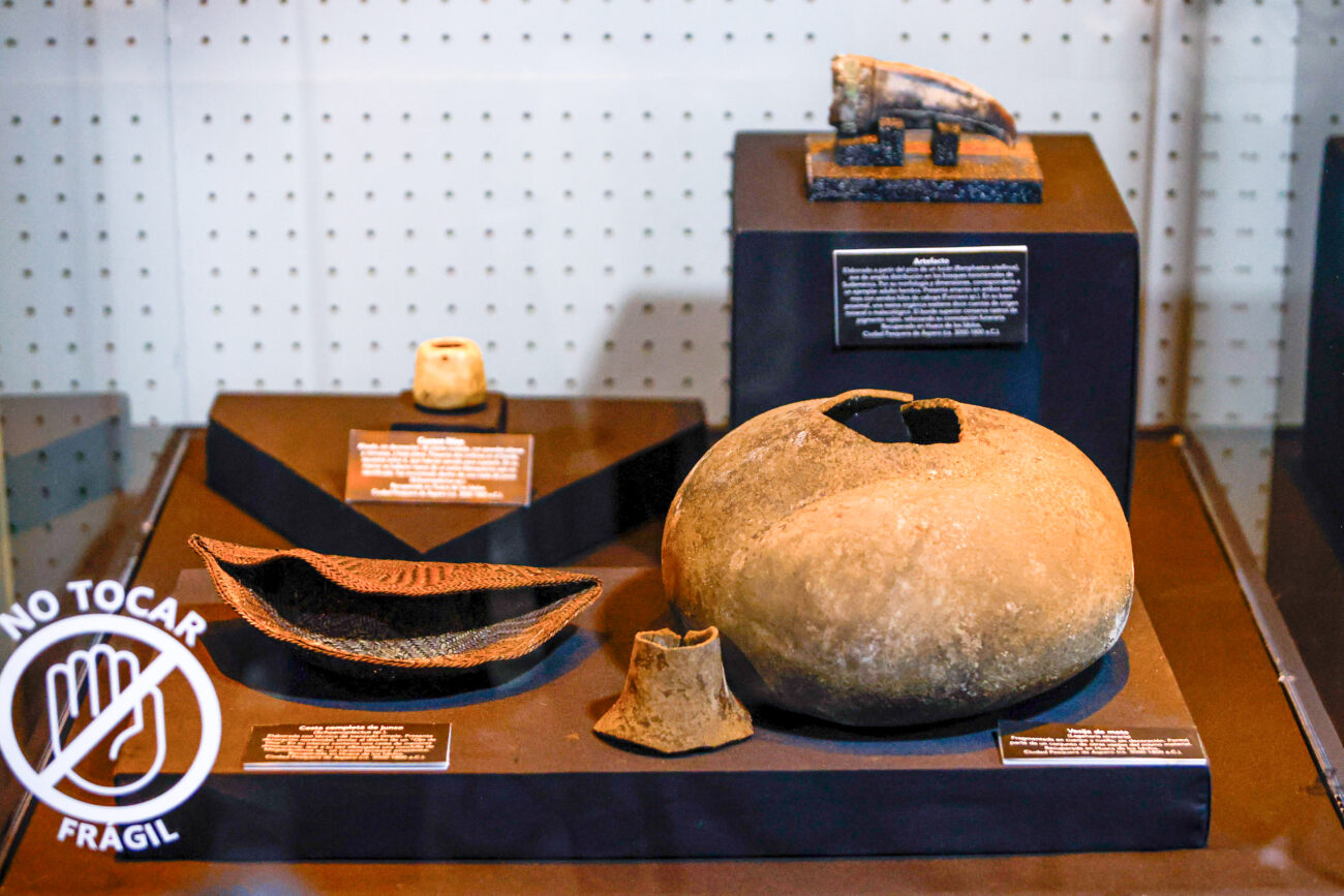 Клюв тукана и раковина улитки. В погребении «женщины из элит» сохранилось много уникальных артефактов