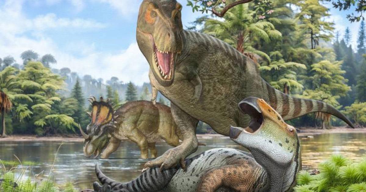 Перемещения по миру. Тираннозавр рекс эволюционировал в другой части света, чем его непосредственные предки