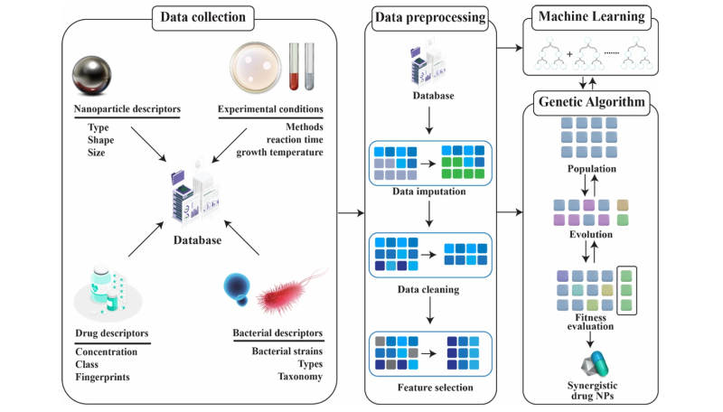 Первые в мире. Ученые ускорили подбор антибактериальных наночастиц и антибиотиков за счет новой платформы