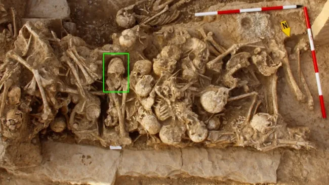 Странная смерть, причины которой неизвестны. На кладбище V века до н. э. найден необычный череп