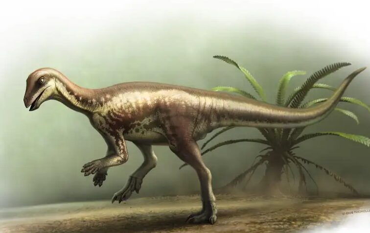 Юркий бегун. Исследователи открыли новый вид «загадочного» динозавра размером с собаку