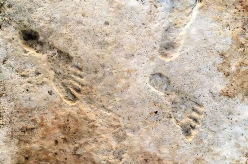 Новое открытие: ученые назвали дату прихода человека в Северную Америку, и это развенчивает прежние теории