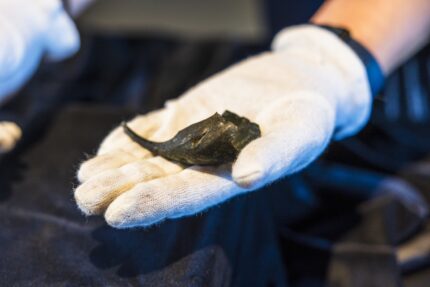 Редчайшая находка. Часть экипировки римского солдата нашли в месте, не входившем в состав Древнего Рима