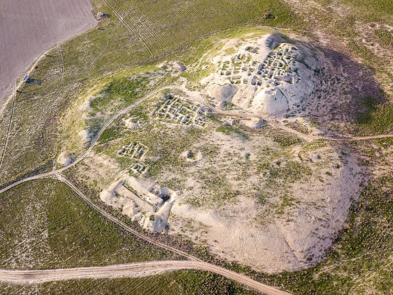 Загадка для исследователей. В эпоху бронзы европейцы начали есть просо вместо мяса и стали менее мобильны