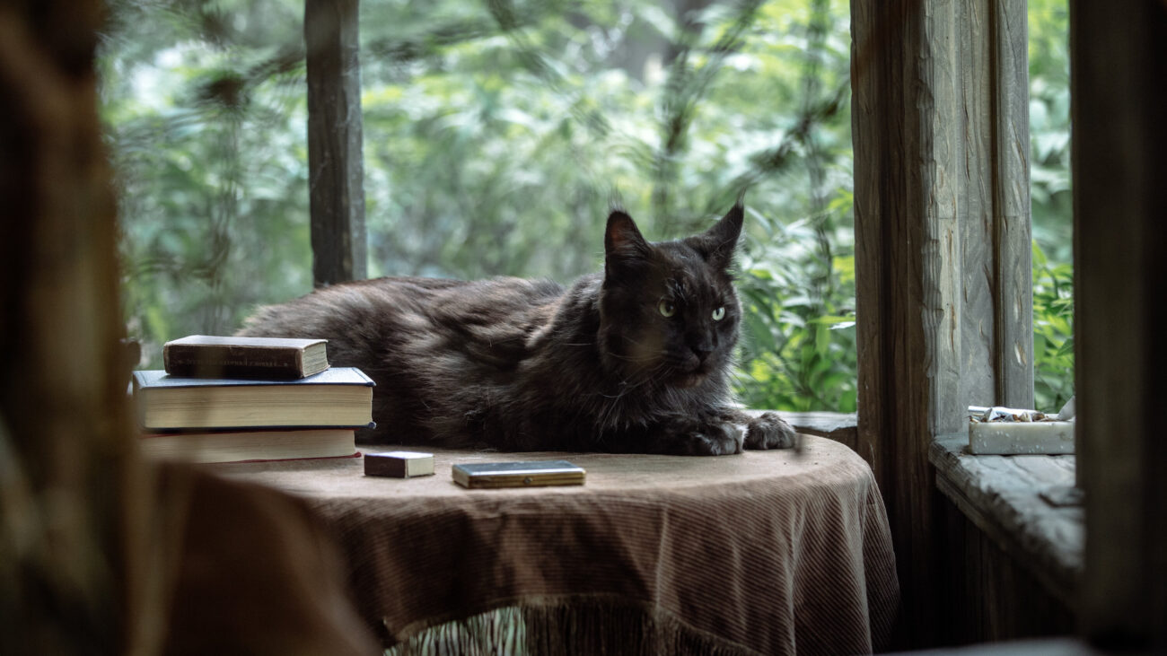 Трудности перевода. Инфернальные коннотации романа «Мастер и Маргарита» на английском языке