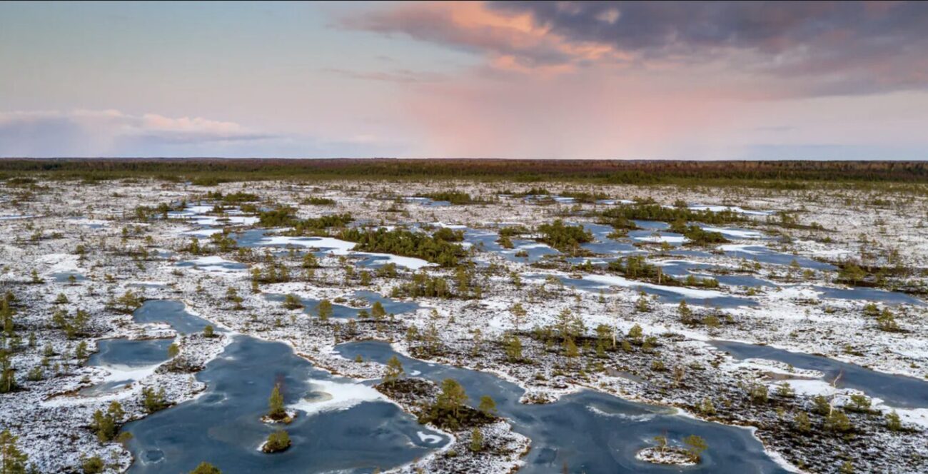 Тайное озеленение Севера. Арктика покрывается торфом
