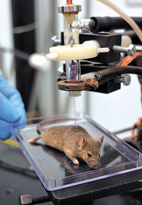 Вместо облучения