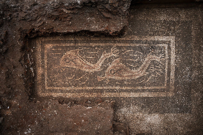 Раскопки, которые потрясли археологов. Три редкие мозаики римской эпохи обнаружены в Австрии после 2000 лет забвения.