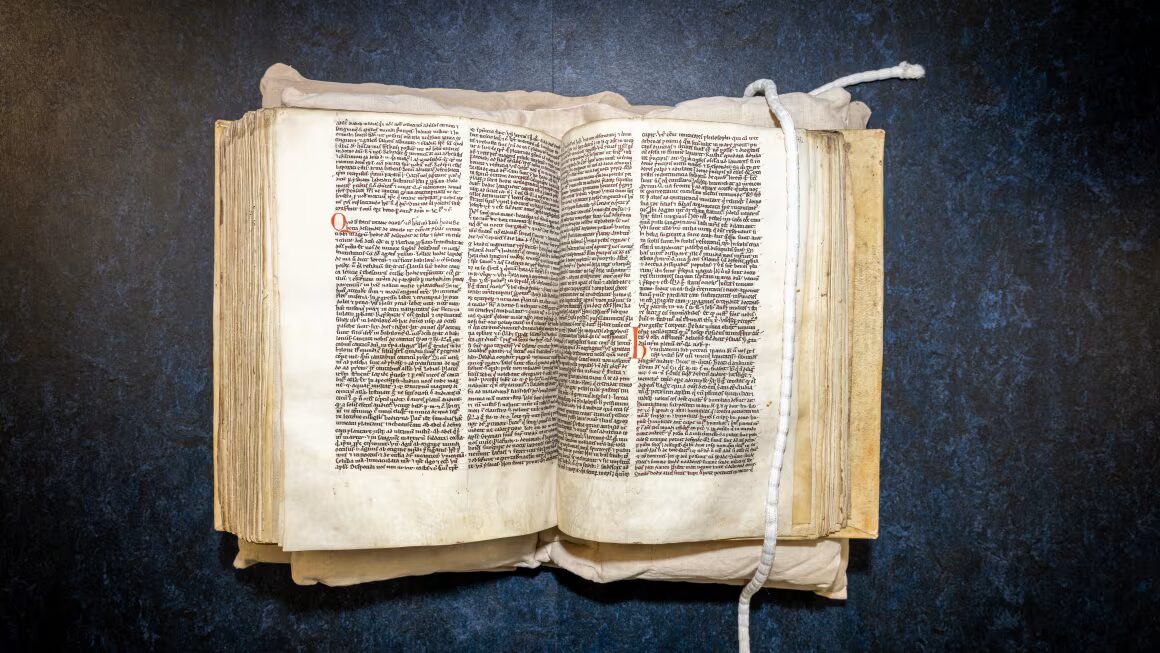 Он не сражался с эльфами. Средневековую сагу расшифровали заново после 800 лет путаницы