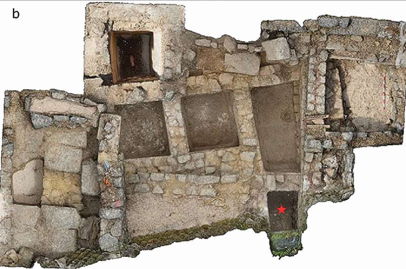 Гарум – любимый соус древних римлян. Изучив ДНК останков рыб, ученые узнали о диете жителей империи