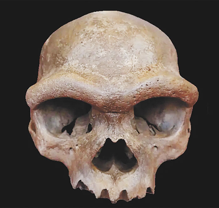 Пересмотр представлений