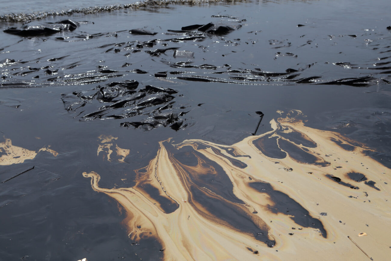 Тонкая мазутная плёнка — и на ней растут водоросли. Эксперименты в Керчи удивили даже специалистов