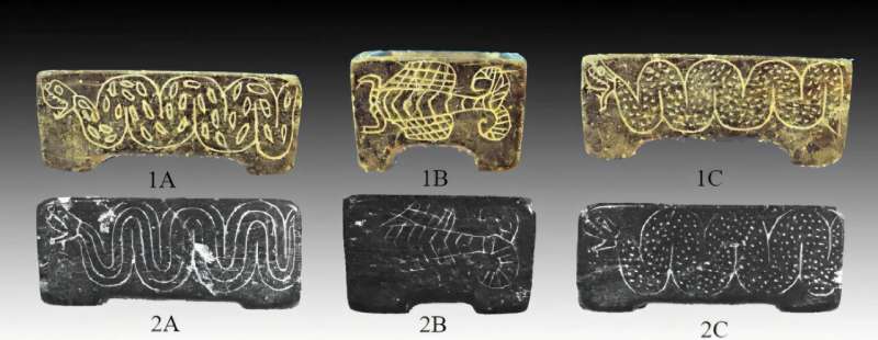 Булавка в форме руки и золотые кольца. Захоронение бронзового века поражает богатым погребальным убранством