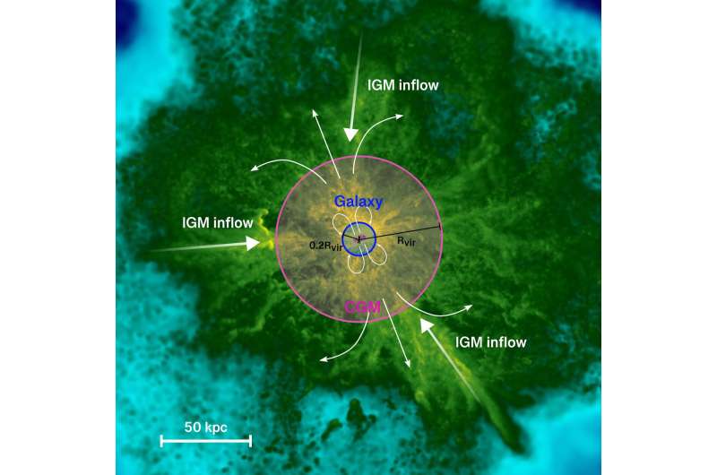 «Кирпичики» во Вселенной. Ученые выяснили, что карликовые галактики и их газовое окружение эволюционируют вместе