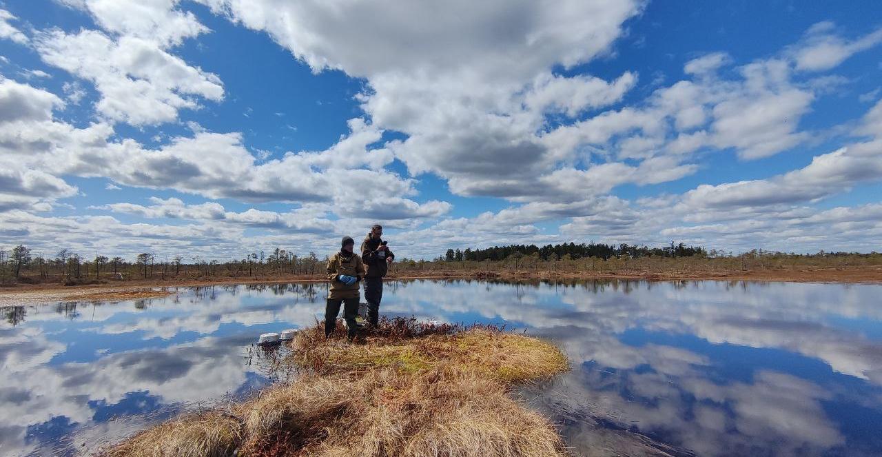Эксперт ТГУ: внутриболотные озера выделяют меньше СО2, чем ожидалось