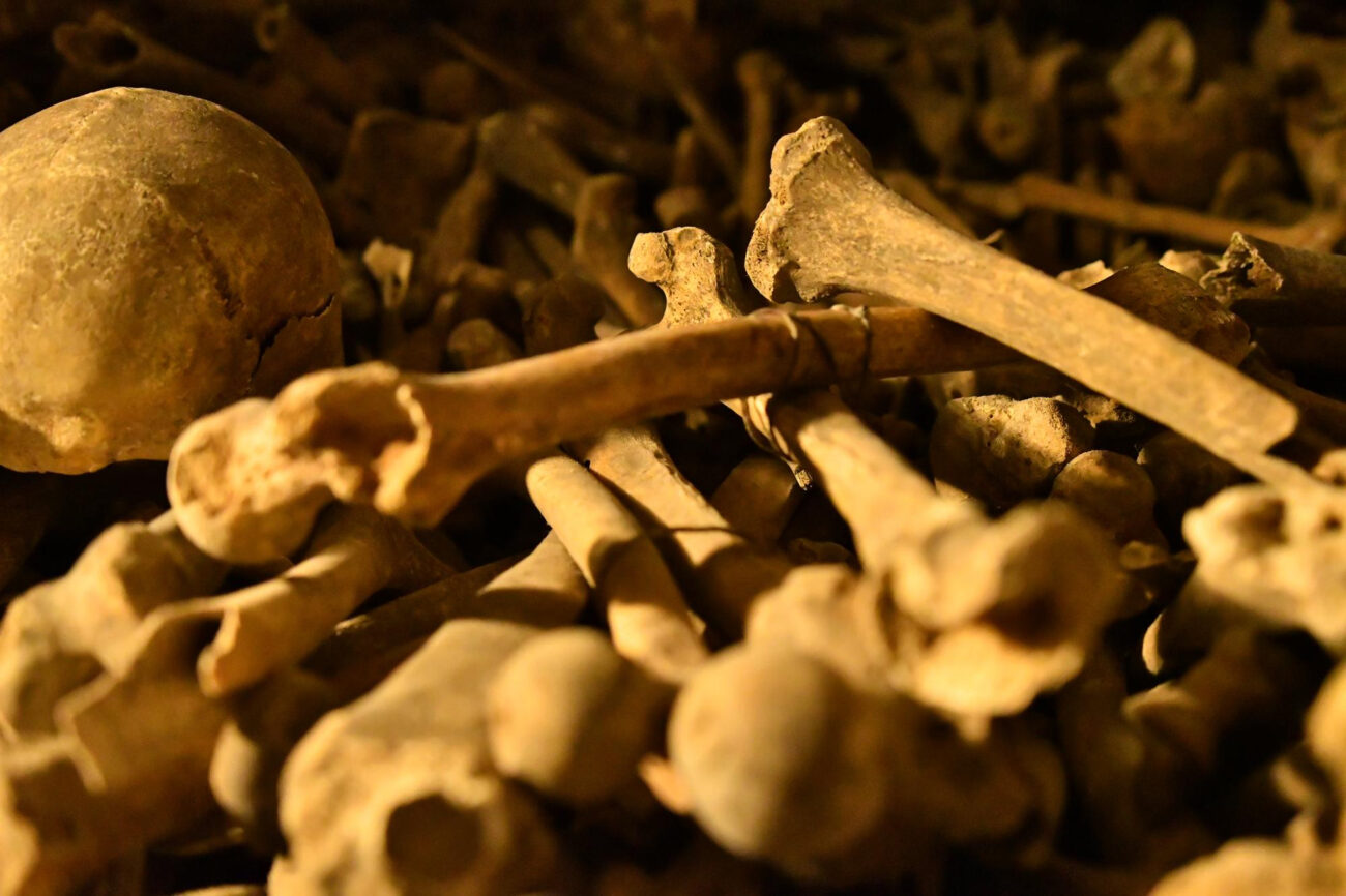 Загадочные костяные круги в могилах: что рассказали ученым артефакты, которые 4000 лет связывали Кавказ и евразийские степи