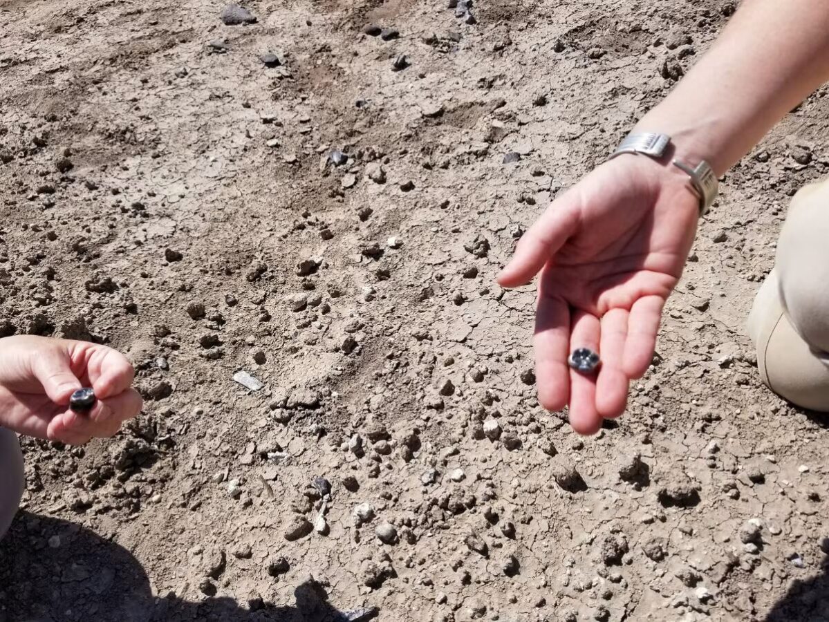 Новая загадка из Эфиопии. Люси встретила Homo