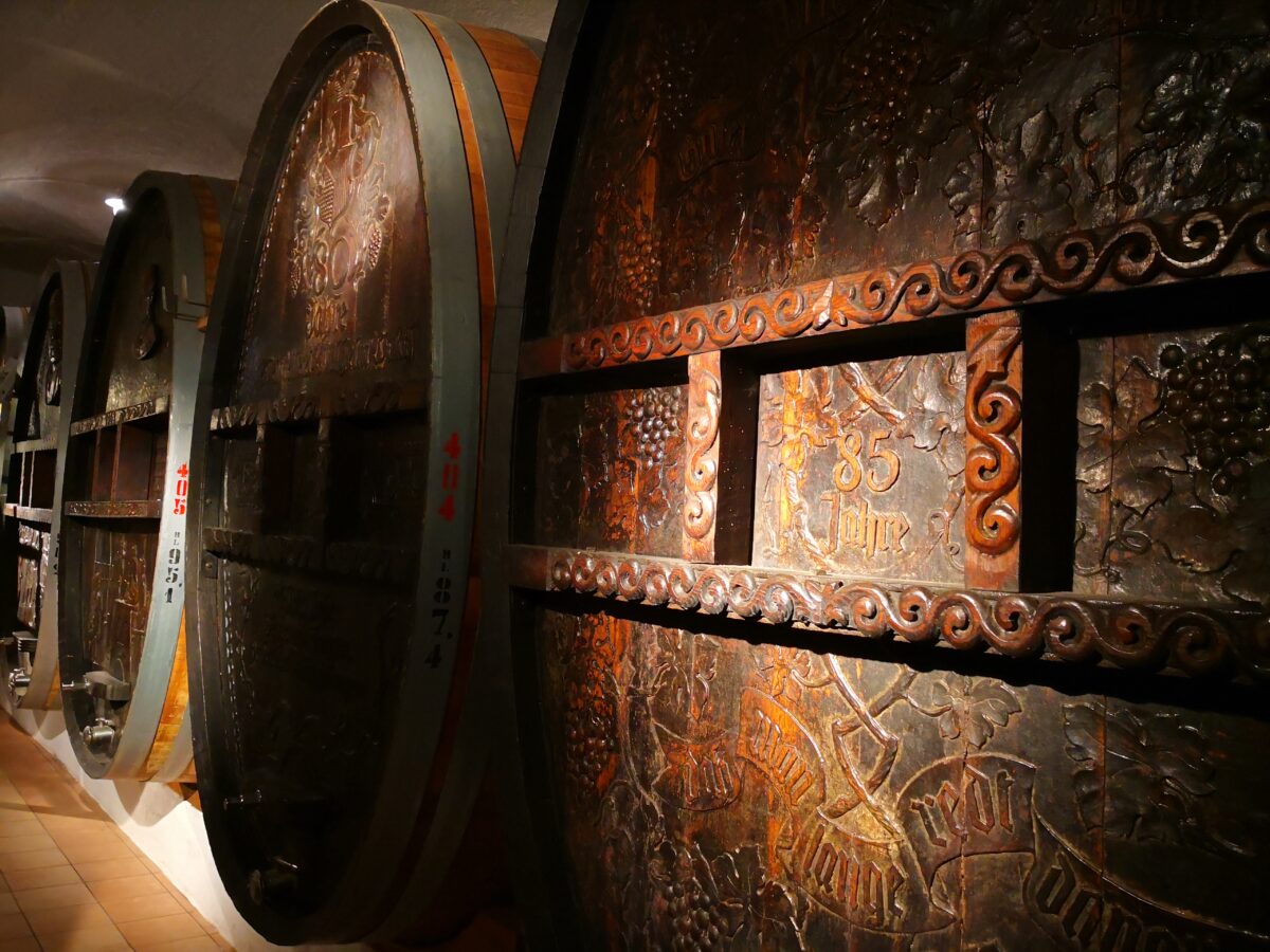 Напитки на продажу. Исследователи изучают, как в древнем греческом поселении производили вино