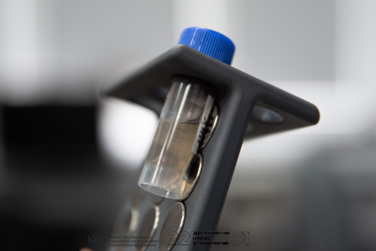 Лекарство прямо в опухоли. Сибирские ученые создали магнитные наночастицы для тераностики рака