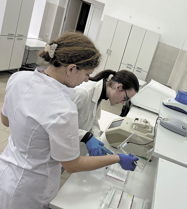 Разобрались в локусах