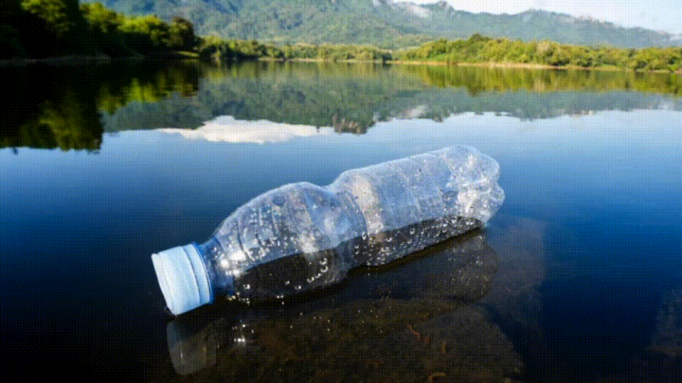 Благо цивилизации, ставшее ее проклятьем: сможет ли человечество победить пластик?