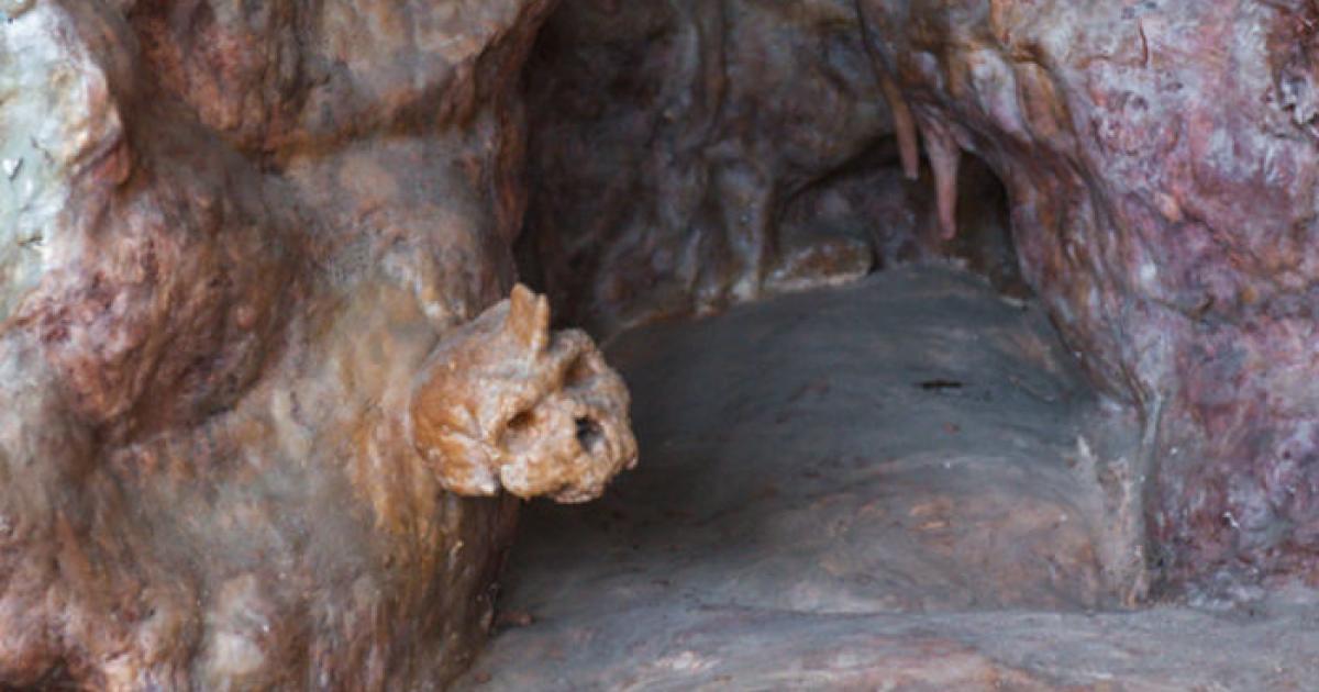 Таинственный череп. Сенсационное исследование показало: «спорные» кости не принадлежат ни человеку, ни неандертальцу