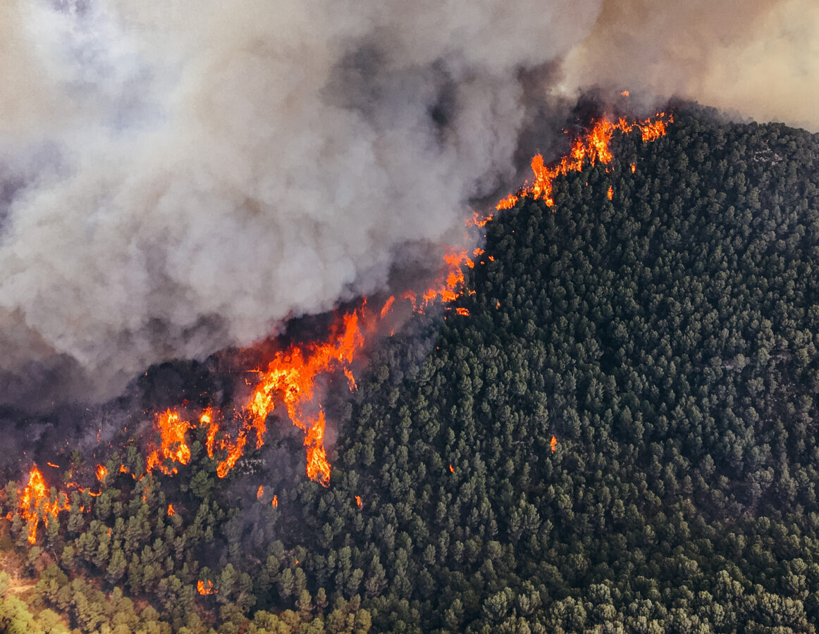 Каждый пятый год — катастрофа. Учёные зафиксировали огненный цикл в Сибири
