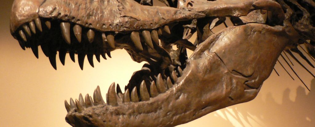 Челюсти смерти. Кто из древних хищников кусал сильнее всех