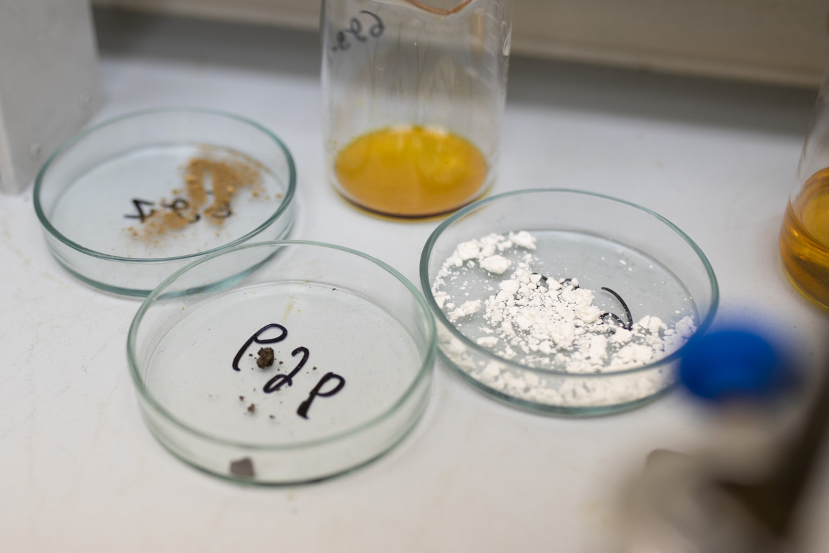 Найден способ снижения токсичности такрина. Открытие поможет в создании лекарств от болезни Альцгеймера