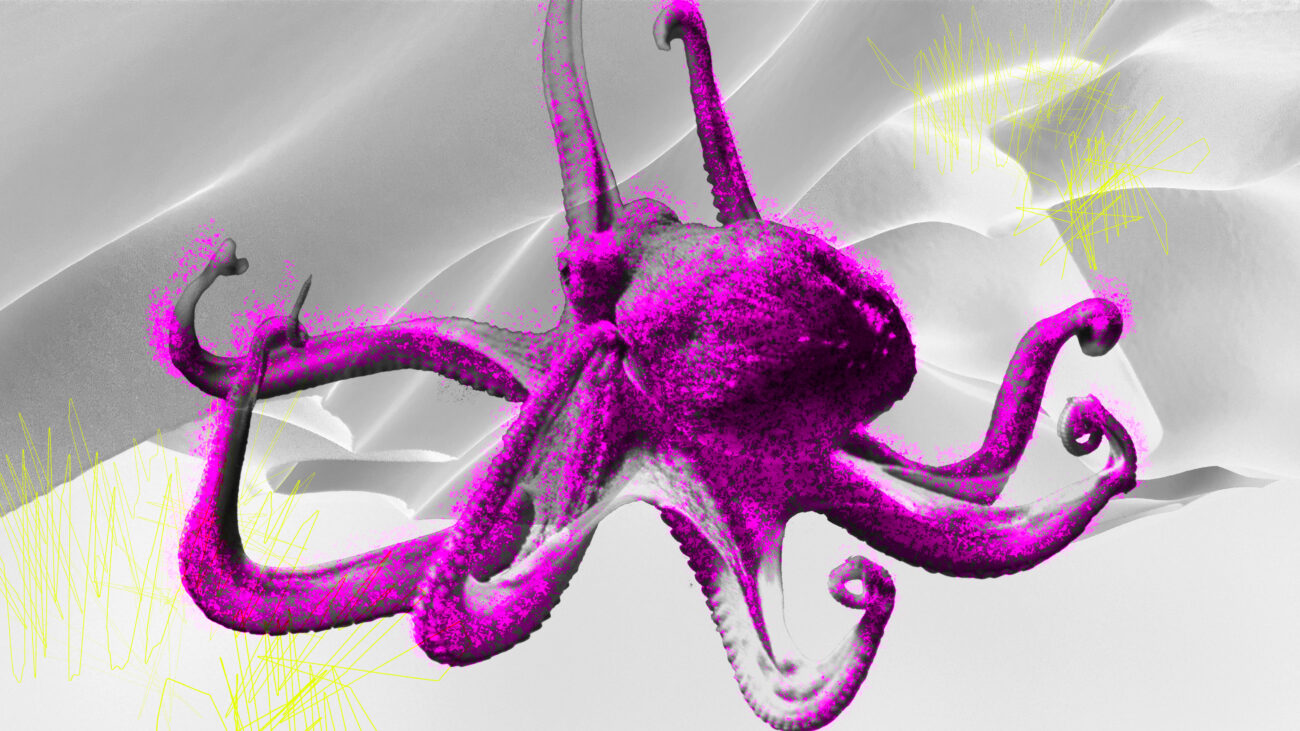 От Юга до Дальнего Востока: Ростов и Камчатка присоединились к Международному фестивалю НАУКА 0+