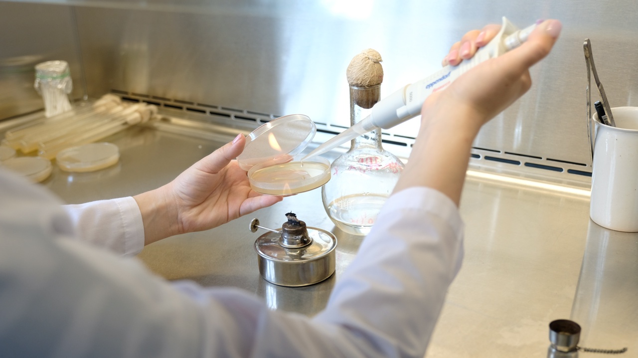 Альтернатива пластику. Новый штамм бактерий способен эффективно синтезировать биопластик из рыбных отходов