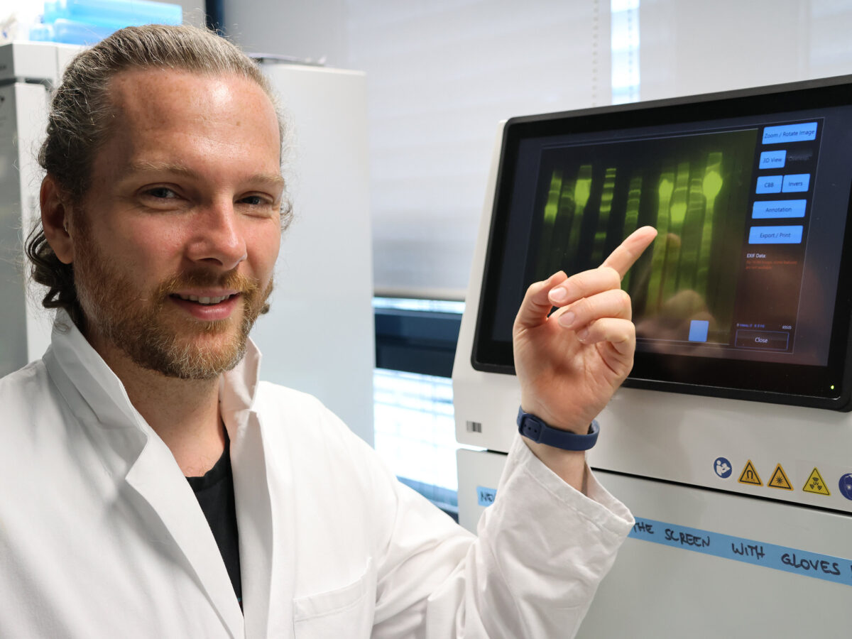 Рецепт из двух эпох. Исследователи в новой работе показали, как хвойные деревья отпугивают врагов