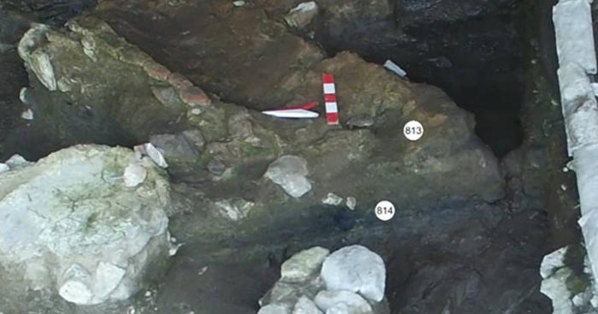 Новаторское открытие. Ученые выяснили, какое средство, актуальное и сегодня, использовали для лечения 5000 лет назад