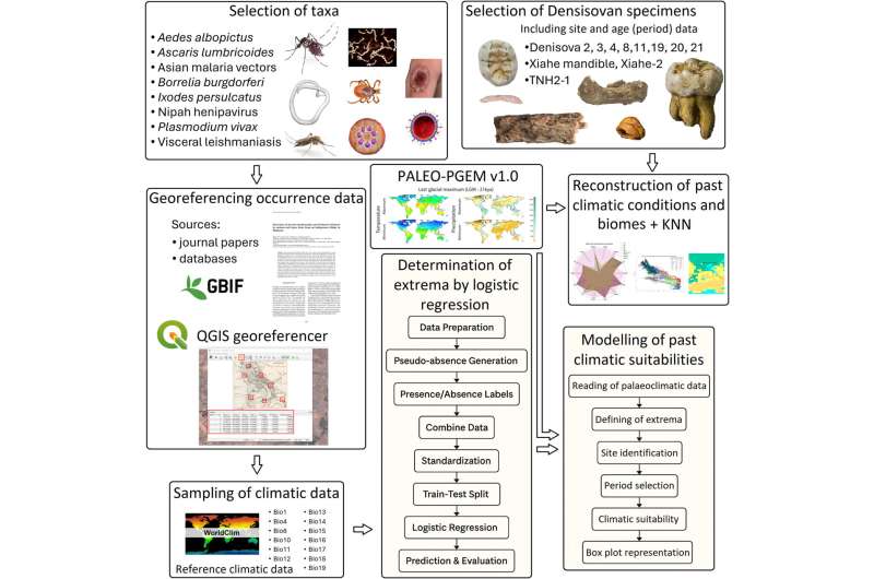 «Оберег» из глубины веков. ДНК денисовцев защищает людей от опасных тропических болезней