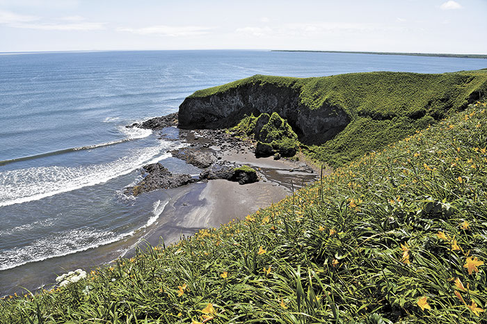 Искусство кройки и житья