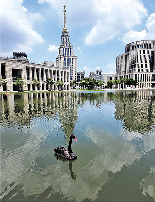 Министерская проверка. Чем впечатлил руководство университет в Шэньчжэне