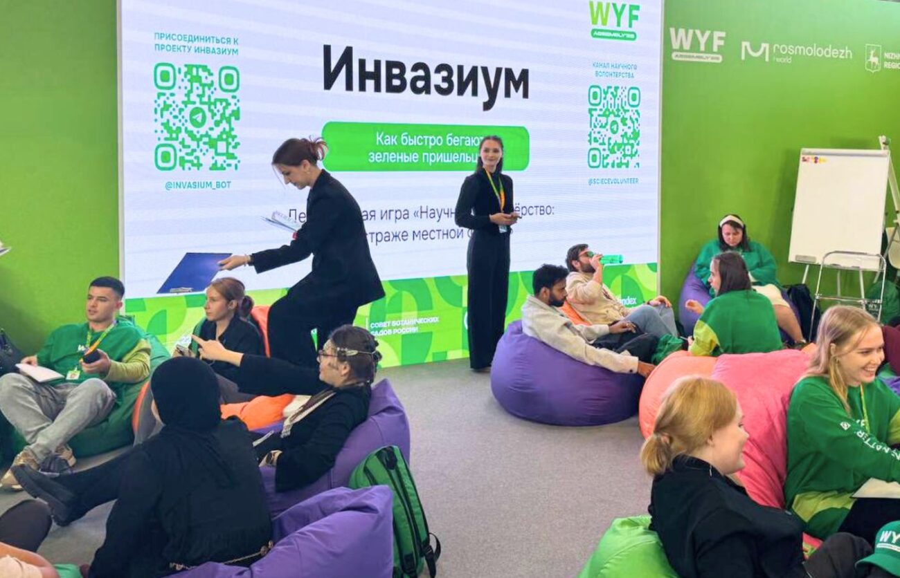 Ролики об ученых и детективная игра. В Нижнем Новгороде проходит Слет Всемирного фестиваля молодежи